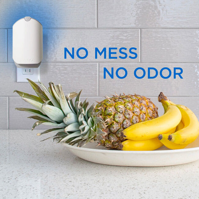 Zevo Flying Insect Trap - Starter Kit image number null