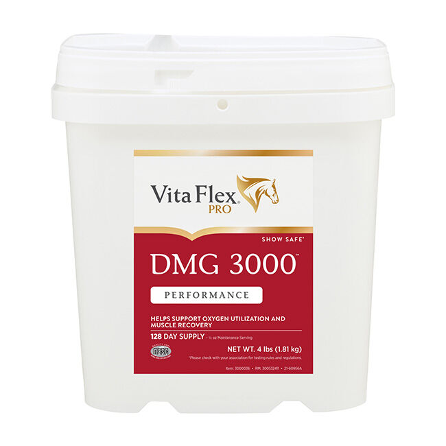 Vita Flex Pro DMG 3000 Performance Supplement image number null
