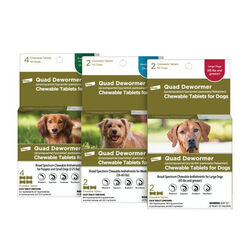Elanco Quad Dewormer (praziquantel/pyranteI I pamoate/febantel) for Dogs