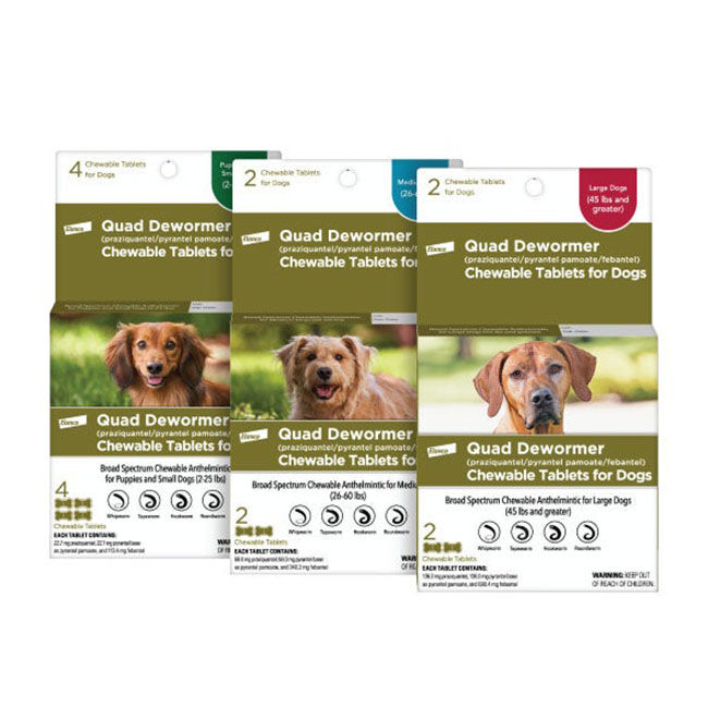 Elanco Quad Dewormer (praziquantel/pyranteI I pamoate/febantel) for Dogs image number null