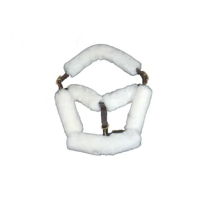 Fleeceworks Sheepskin Halter Fleece Set image number null