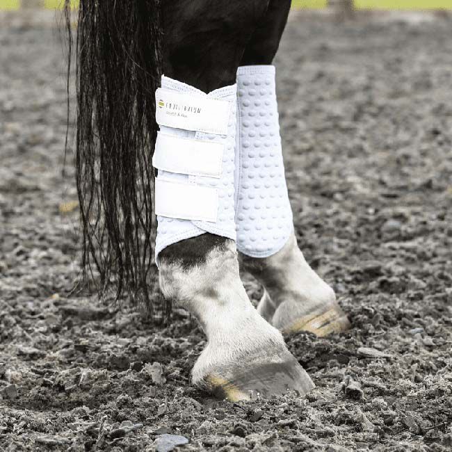 Equilibrium Stretch & Flex Flatwork Leg Wraps (New Version) image number null