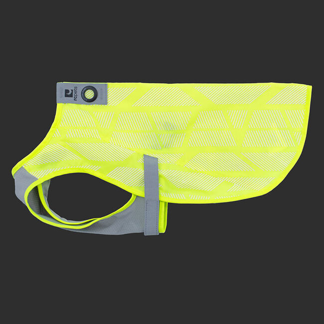 RC Pets Luna High Vis Vest for Dogs image number null