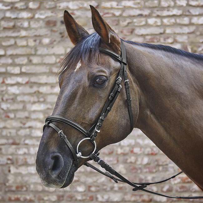 Waldhausen Star Basic Bridle image number null