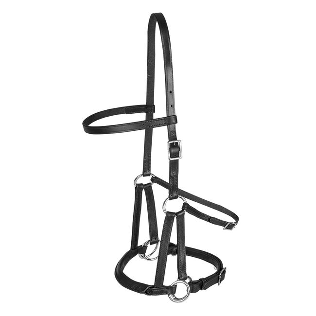 Waldhausen Linda Tellington-Jones Lindell Bitless Bridle image number null