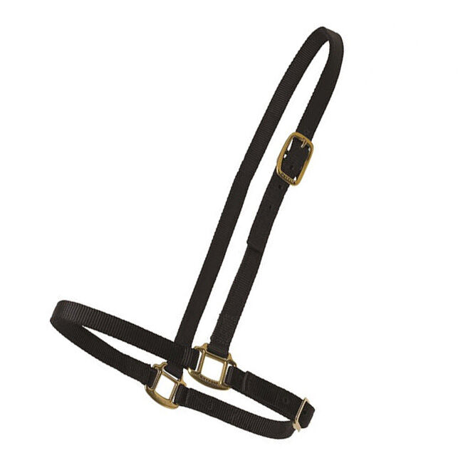 Perri's Leather Nylon Grooming Halter image number null