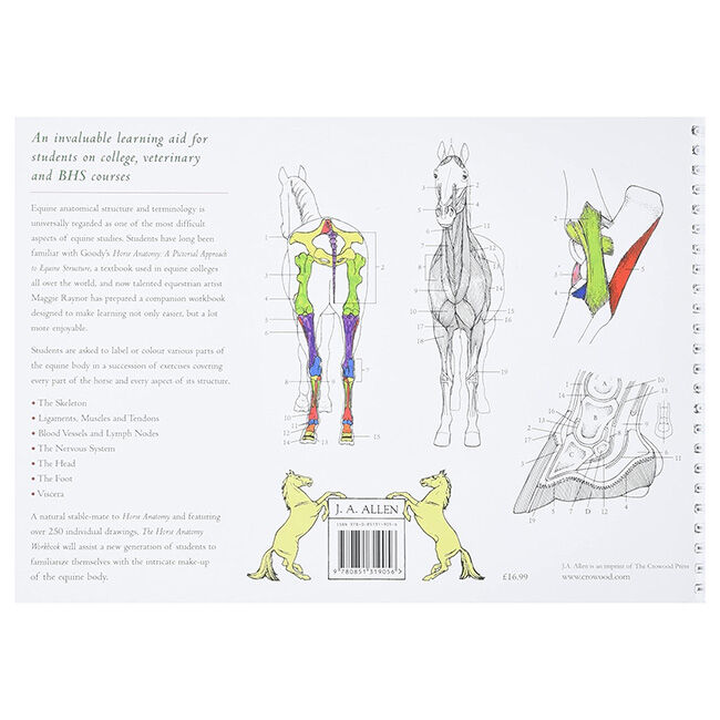 Horse Anatomy Workbook: A Learning Aid for Students Based on Peter ...