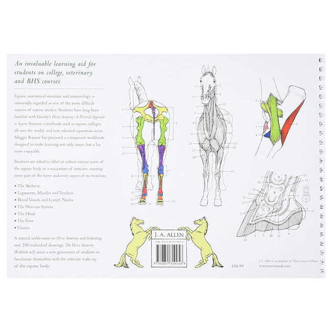 Horse Anatomy Workbook: A Learning Aid for Students Based on Peter Goody's Classic Work, Horse Anatomy image number null
