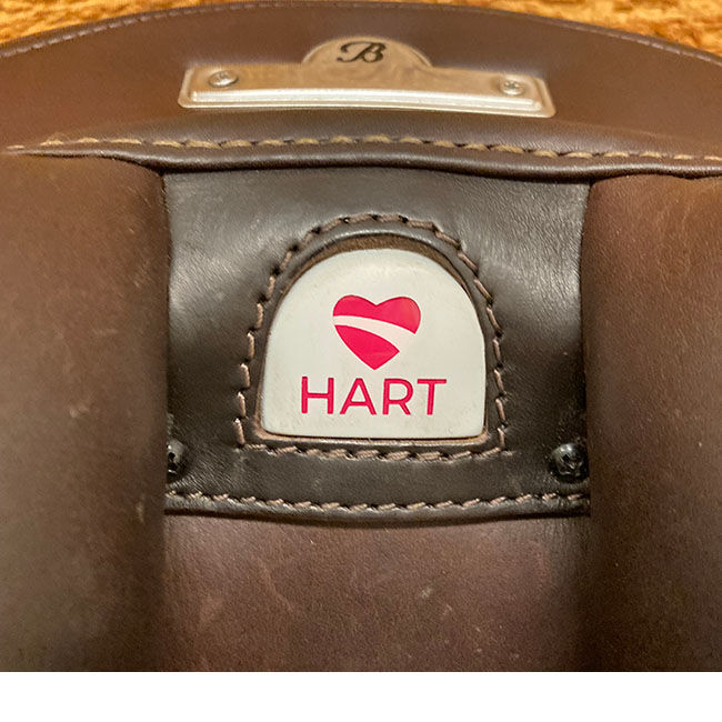 Used Bates Caprilli Close Contact Saddle with Luxe Leather - Classic Brown - 18" image number null