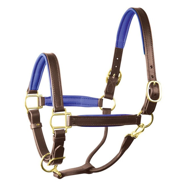 Perri's Leather Padded Leather Halter image number null