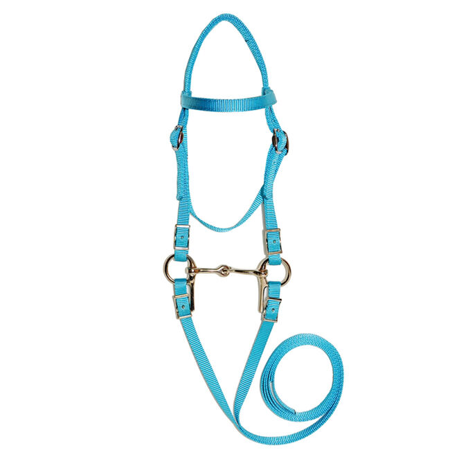 Triple E Mini Bridle-Turquoise image number null