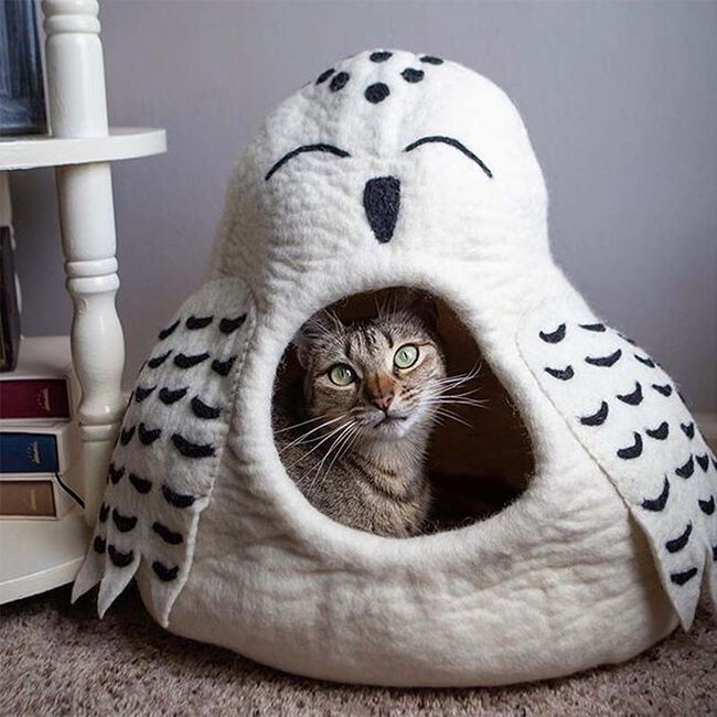 Dharma Dog Karma Cat Wool Snowy Owl Cave image number null