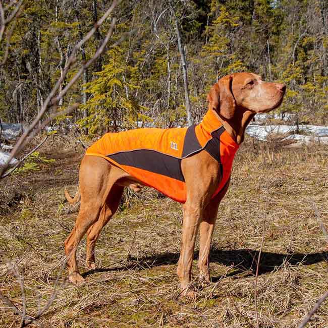 Back on Track Eddie High Visibility Jumper for Dogs - Reflective Orange image number null