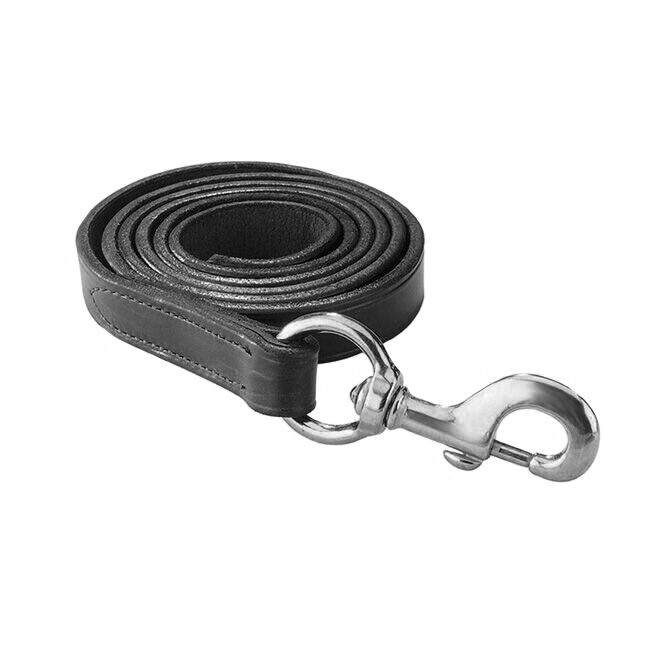 Perri's Leather Lead with Solid Brass Snap image number null