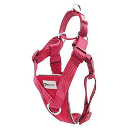 RC Pets Tempo No-Pull Dog Harness - Heather Azalea