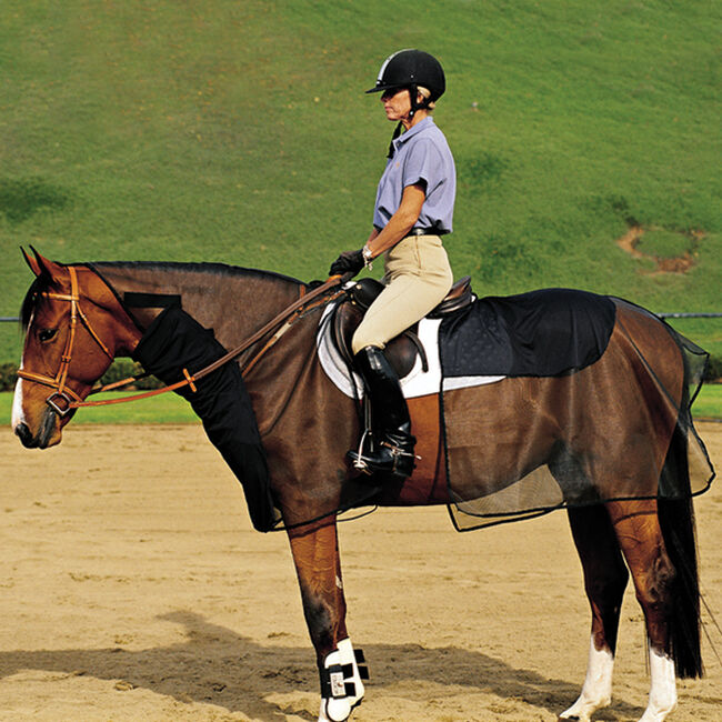 Cashel Quiet Ride Bug Armor  image number null