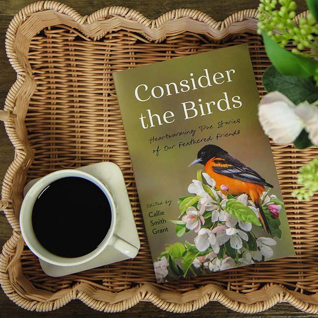 Consider the Birds: Heartwarming True Stories of Our Feathered Friends image number null