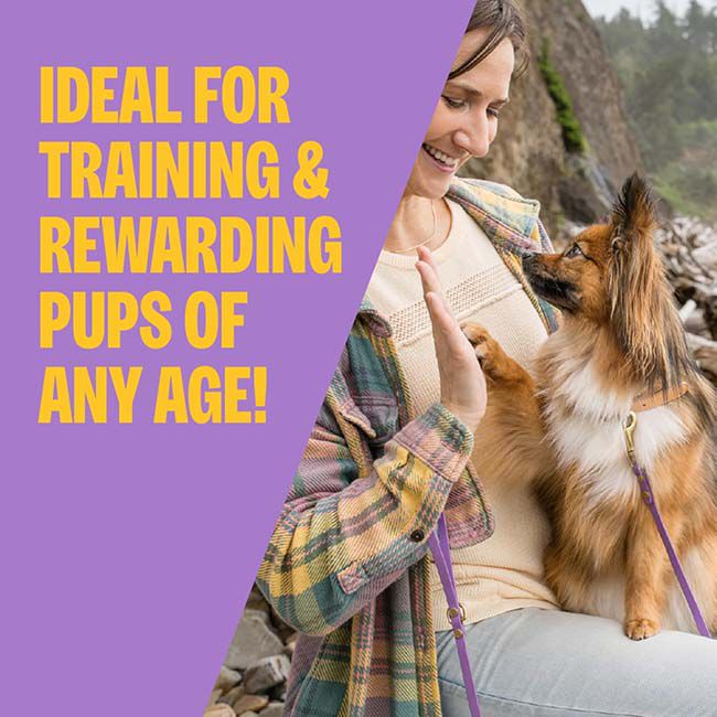 Wellness Soft Puppy Bites - Lamb & Salmon Recipe - 3 oz image number null