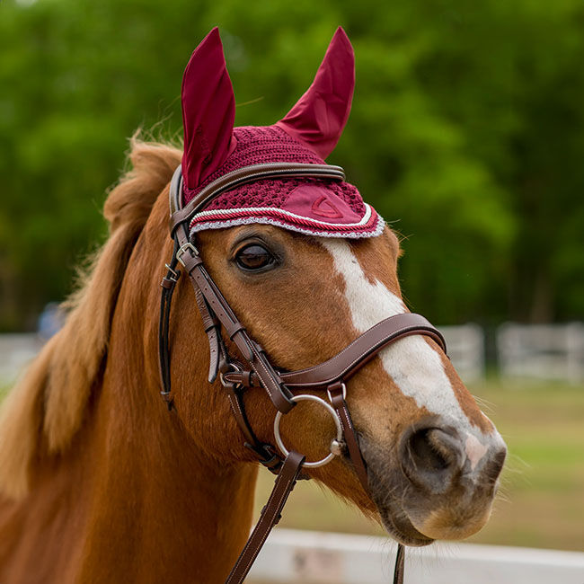 Lettia Shadow Ear Net image number null