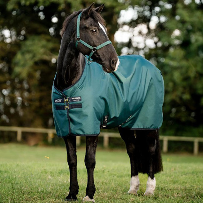 Horseware Amigo Ripstop 900D Turnout (0g Light) - Dynasty Green/Navy/Silver image number null