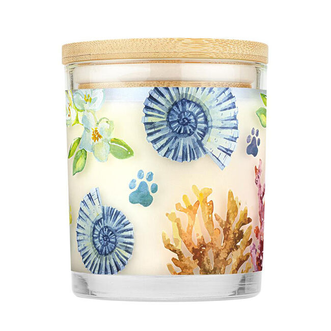 Pet House Candle Mediterranean Sea Candle image number null