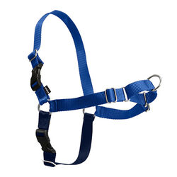 PetSafe Easy Walk Harness - Royal Blue/Navy - Closeout