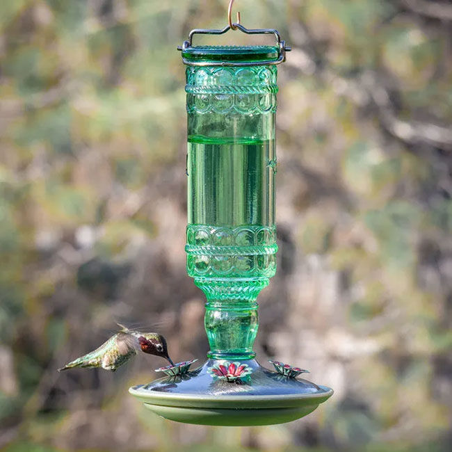 Perky-Pet Green Antique Glass Bottle Hummingbird Feeder - 10 oz Nectar Capacity image number null