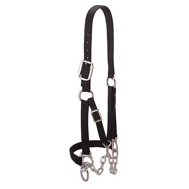 Weaver Heavy-Duty Restraint Halter for Cattle -Black image number null