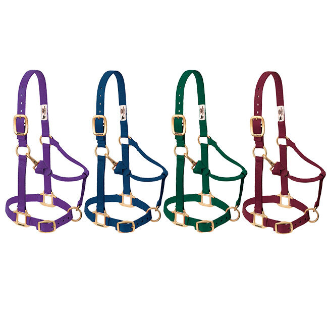 Weaver Equine Original Adjustable Chin and Throat Snap Halter image number null