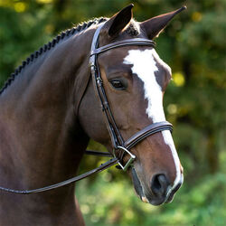 KL Select Black Oak Laurel Hunter Bridle