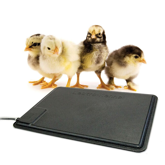 K&H Pet Thermo-Chicken Heated Pad image number null