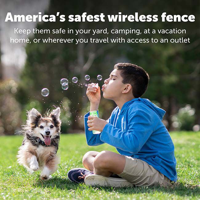 PetSafe Wireless Pet Containment System image number null