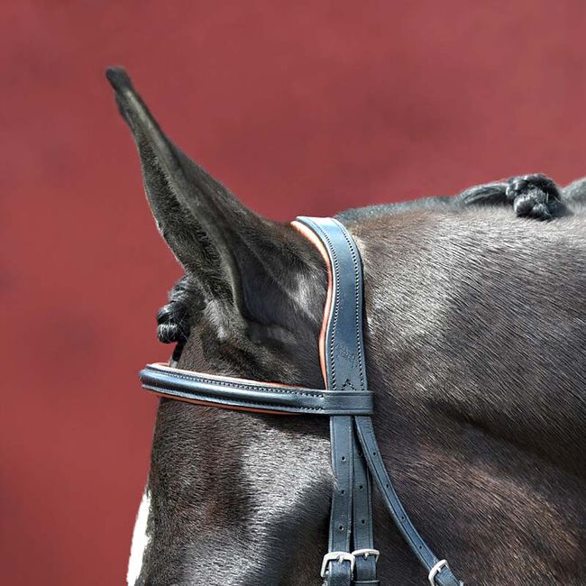 Bobby's English Tack Silver Spur Padded and Raised Snaffle Bridle with Flash image number null