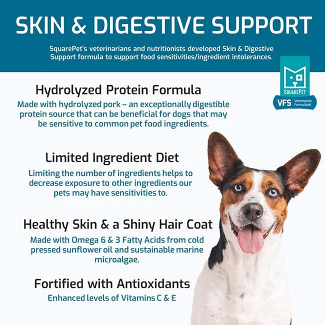 SquarePet VFS Skin & Digestive Support Dog Food - 22 lb image number null