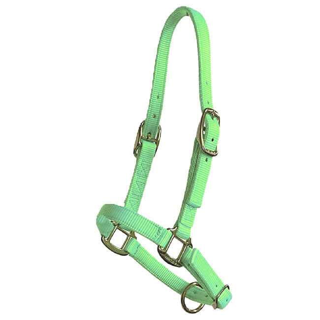 Triple E Adjustable Nylon Foal Halter image number null
