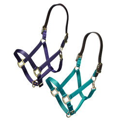 Shires Nylon Halter with Leather Head Strap