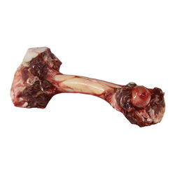 Tucker's Frozen Lamb Bone