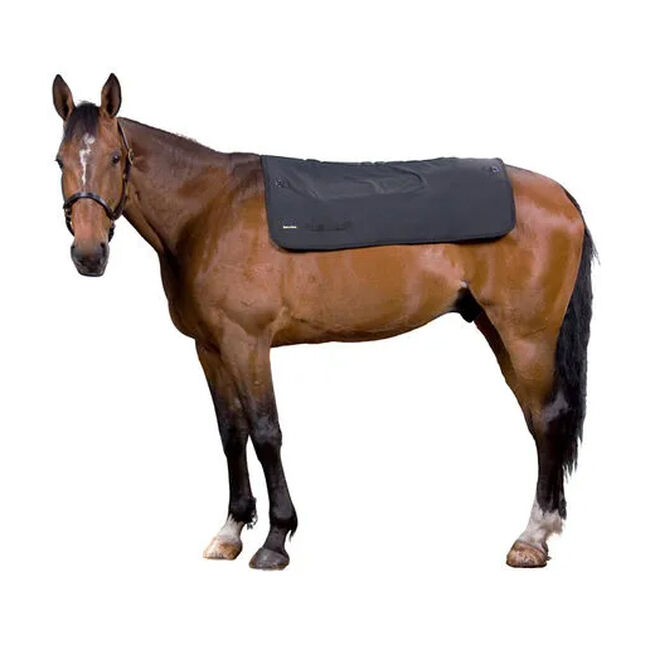 Back on Track Therapeutic Horse Back Warmer Pad image number null