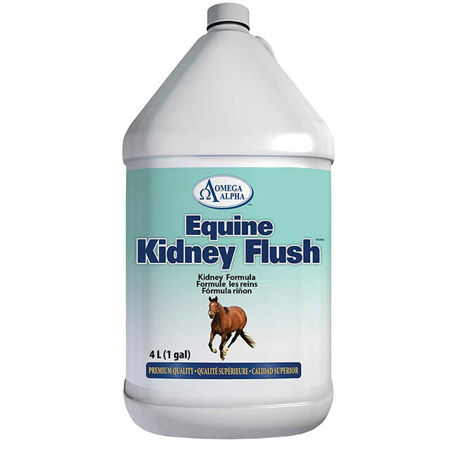 Omega Alpha Equine Kidney Flush - 1 Gallon image number null