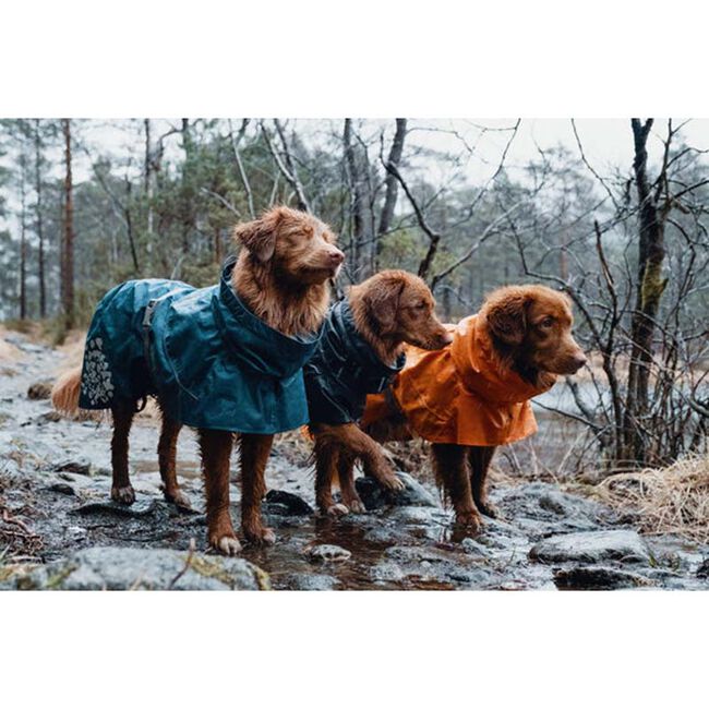 Hurtta Monsoon Raincoat - Bilberry - Closeout image number null