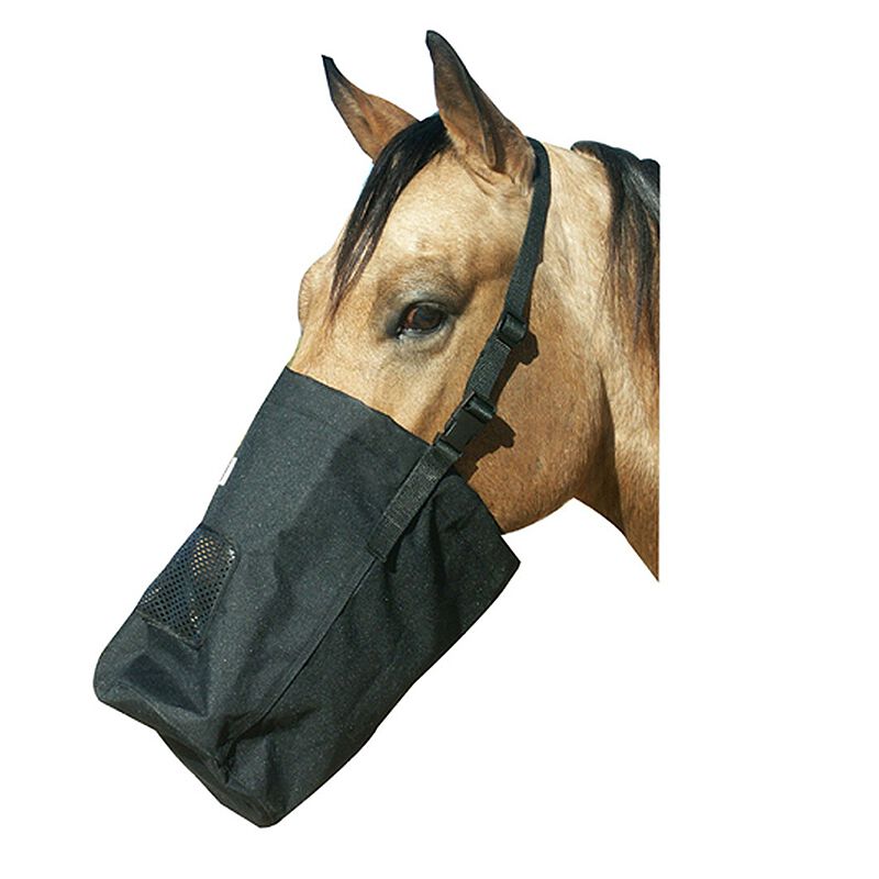 Horse eating best sale from feed bag