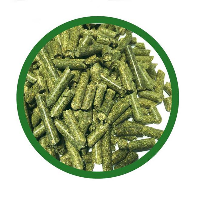 Greenway Animal Nutrition Timothy Pellets 50lb The Cheshire Horse