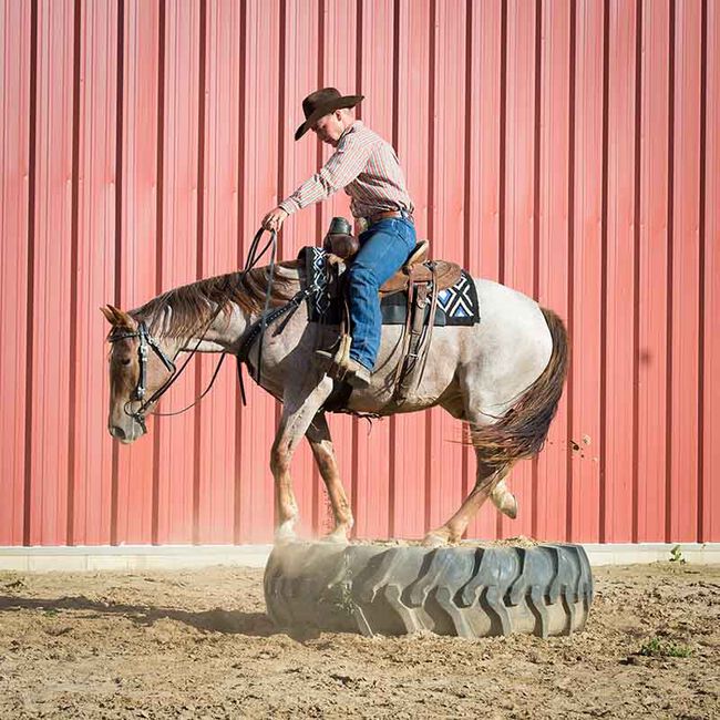 Weaver Equine Leather Split Reins - Black image number null