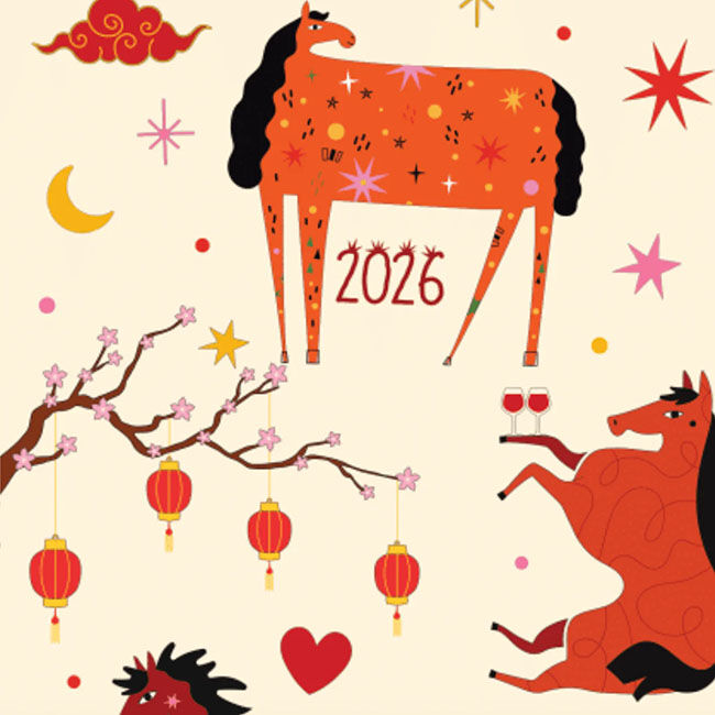 Dreamers & Schemers Boot Socks - Pair and a Spare - Year of the Horse image number null