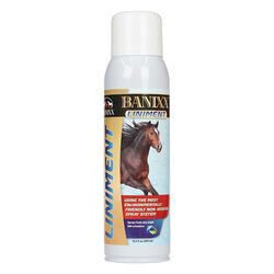 Banixx Liniment Spray for Horses 13.2 oz