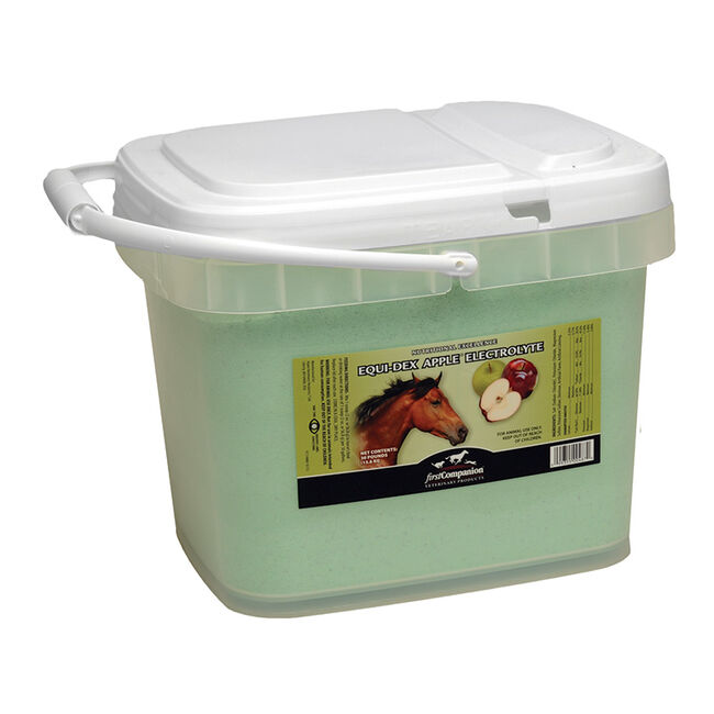 First Companion Veterinary Equi-Dex Electrolyte Powder image number null
