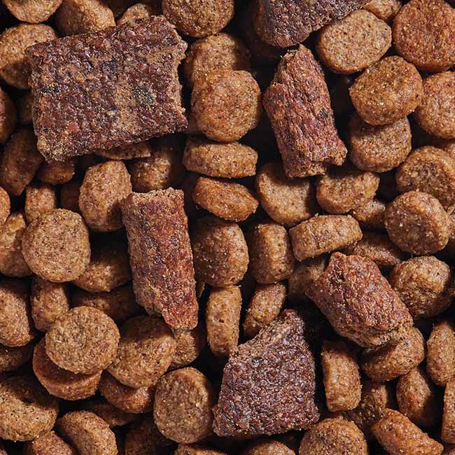 Open Farm Epic Blend High Protein Dog Food - Salmon & Superfood Recipe image number null