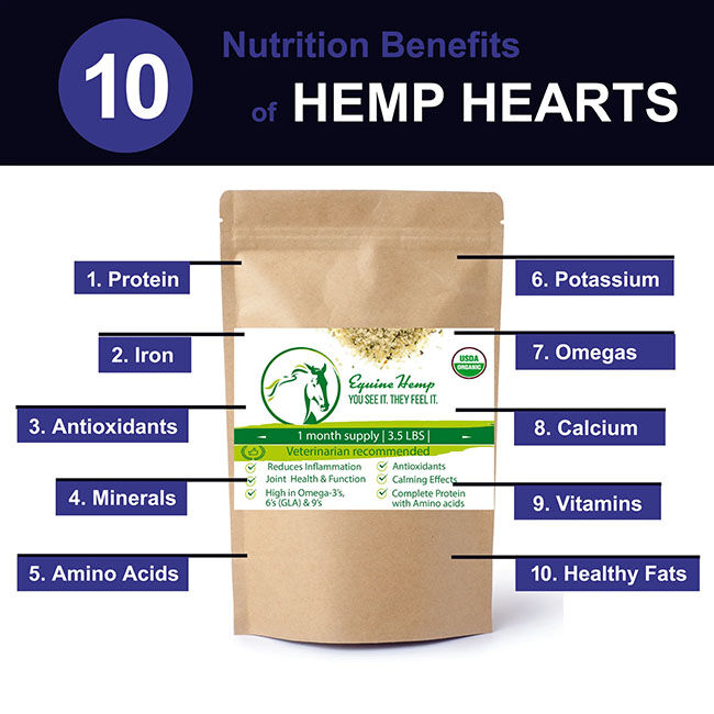 Equine Chia Organic Equine Hemp Hearts - 3.5 lb image number null