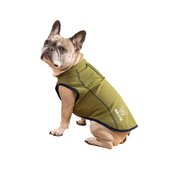 Shires Digby & Fox Softshell Dog Coat image number null