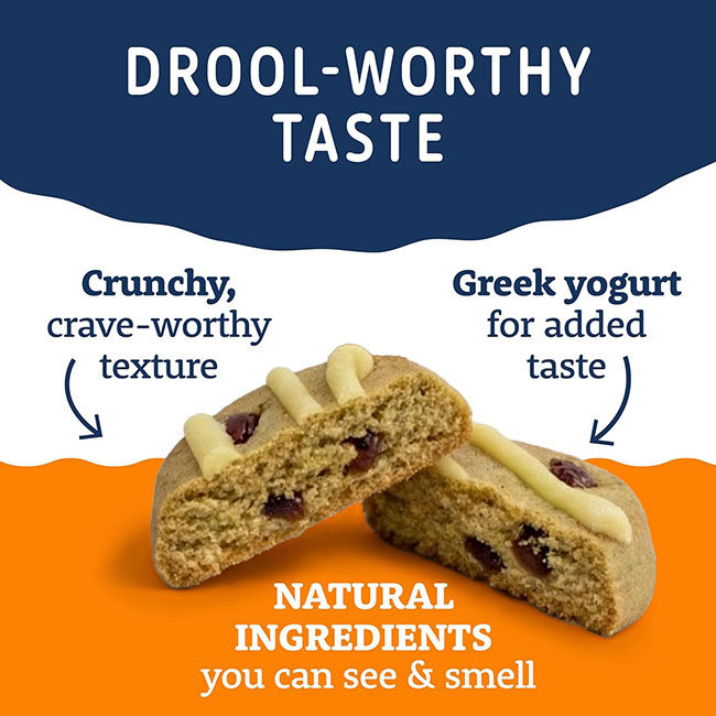 Natural Balance Yo-Gut Bites for Dogs - Pumpkin & Cranberries - 4.5 oz image number null